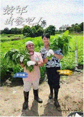 麻豆影视 综艺招商