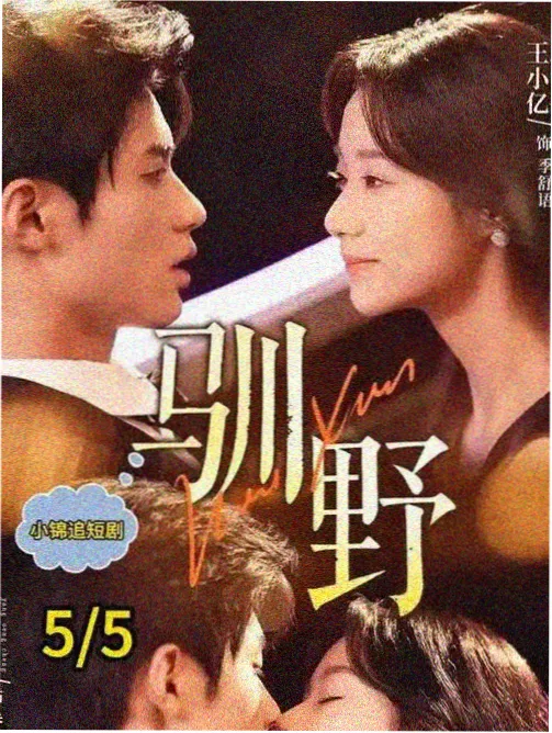 麻豆影视 迷雾之城